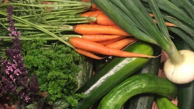 Nachhaltiges Leben: Die Ausbeute der Vogels nach einen Erntetag. Karotten, Salat und Zucchini pflanzt die Familie jedes Jahr auf dem Acker.