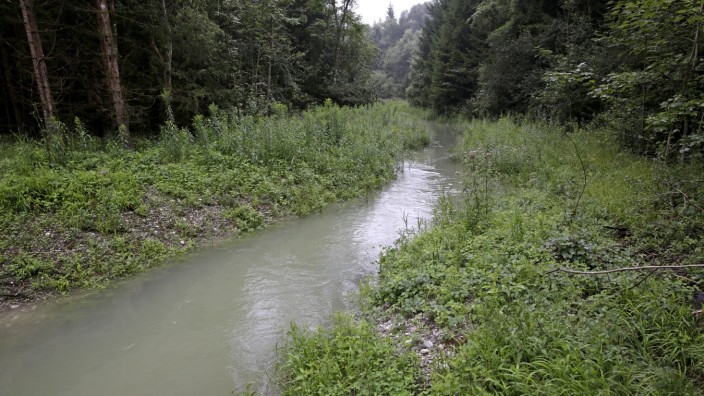 Wasserwirtschaftsamt beginnt Kartierung: Der Auebach am Ickinger Wehr. Rund 2900 Kilometer Gewässer werden aktuell durch ein Expertenteam aus Umweltingenieuren in Augenschein genommen.