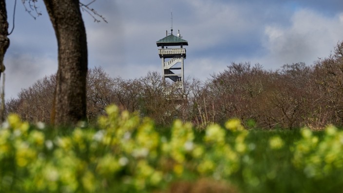 Im April: Ein beliebtes Ausflugsziel zu jeder Jahreszeit: der Ebersberger Aussichtsturm.