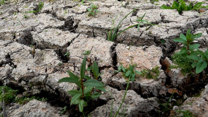 Klimawandel: Ein ausgetrockneter Boden bei Grafing im Sommer 2021. Aufgrund des Klimawandels werden Dürreperioden häufiger vorkommen und länger anhalten.