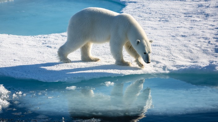 SZ-Klimakolumne: Steigende Temperaturen lassen das Meereis in der Arktis schmelzen. Doch nicht alle Folgen der Erderwärmung sind so eingängig.