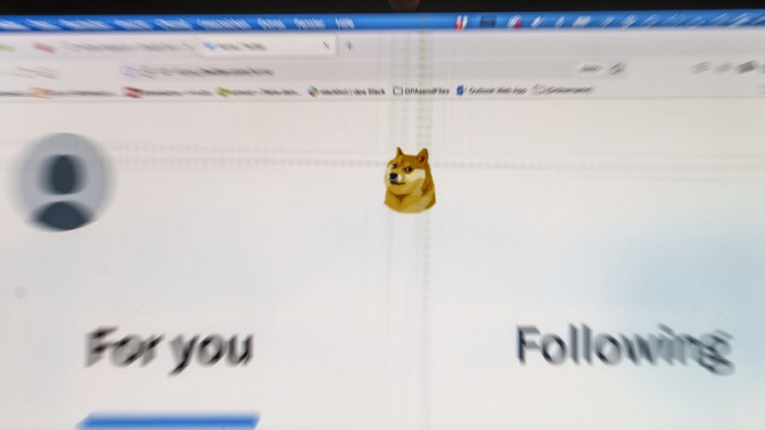 Dogecoin: Auf dem neuen Logo ist kein gewöhnlicher Hund zu sehen: Es ist das tierische Gesicht der Kryptowährung Dogecoin.