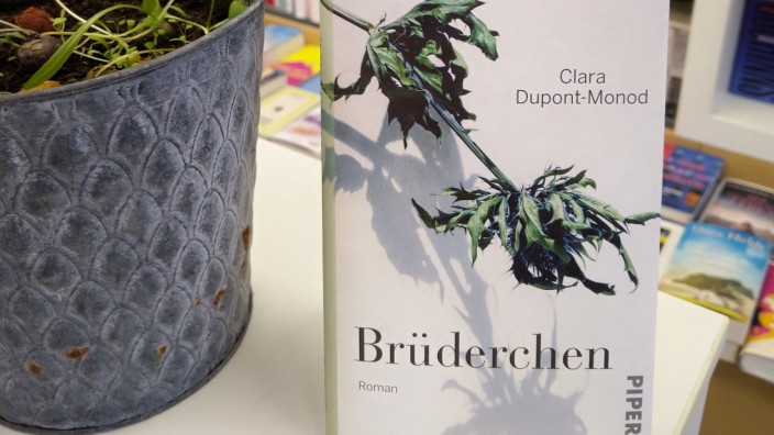 Lesenswert: "Brüderchen" von Clara Dupont-Monod, Piper Verlag, 22 Euro.