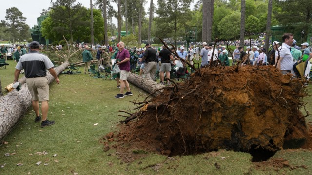 Golf in Augusta: The grounds of the Augusta National Golf Club have to be cleaned up first, the tournament will be interrupted for a while.