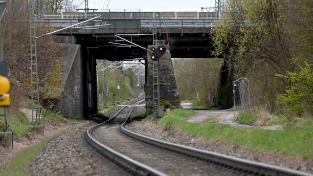 Erdkröten müssen umziehen: Die Bahnverbindung im Münchner Osten soll vor allem für den Güterverkehr ausgebaut werden.