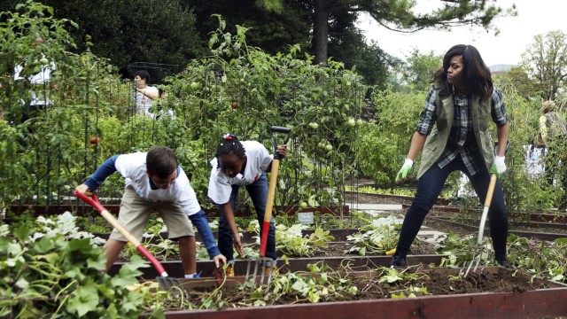 Bundeskanzleramt: Die damalige First Lady Michelle Obama pflanzt mit Kindern Gemüse im Garten des Weißen Hauses in Washington an (2016).