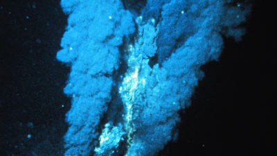 Erde extrem: Ein "Black Smoker". Rund um solche Hydrothermalquellen am Meeresboden der Tiefsee haben sich ganze Biotope entwickelt.