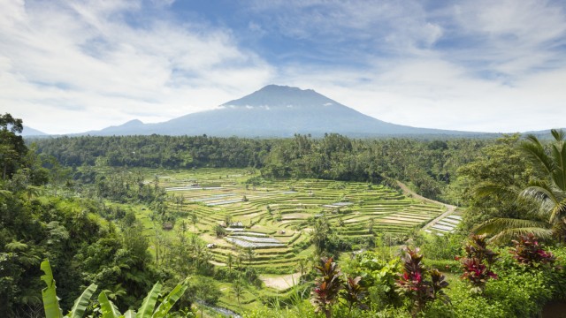 Indonesien: Gunung Agung heißt übersetzt "Großer Berg", der Vulkan ist die höchste Erhebung auf Bali. Schon klar, dass Touristen dort gerne ein "Ich war hier"-Beweisfoto machen wollen - aber das geht ja auch mit T-Shirt.
