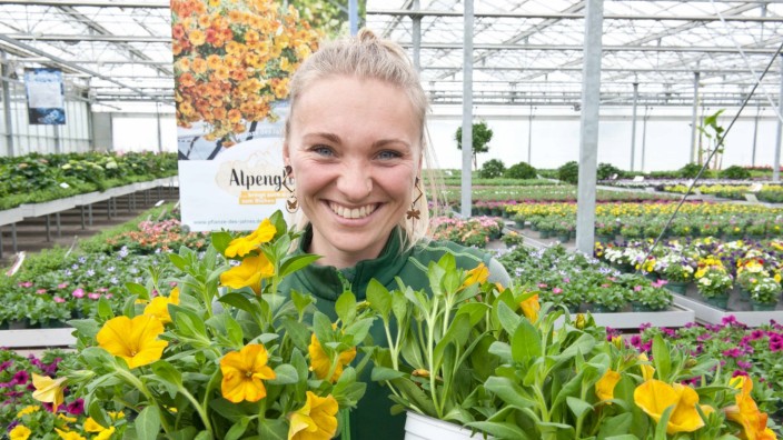 Grafinger Gärtnerei: Nadine Stöckl von der Gärtnerei Köstler präsentiert die Pflanze des Jahres mit dem schönen Namen "Alpenglühen".