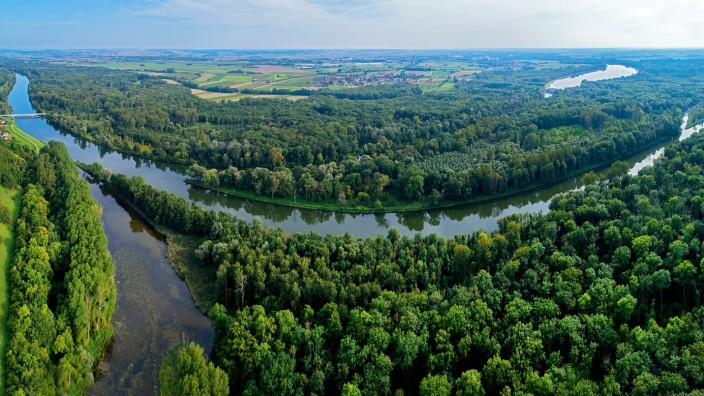 Wasser: Donauauwald bei Bruck an der Lechmündung. Das Mündungsgebiet gilt als die größte Trinkwasser-Gewinnungsanlage in Bayern.
