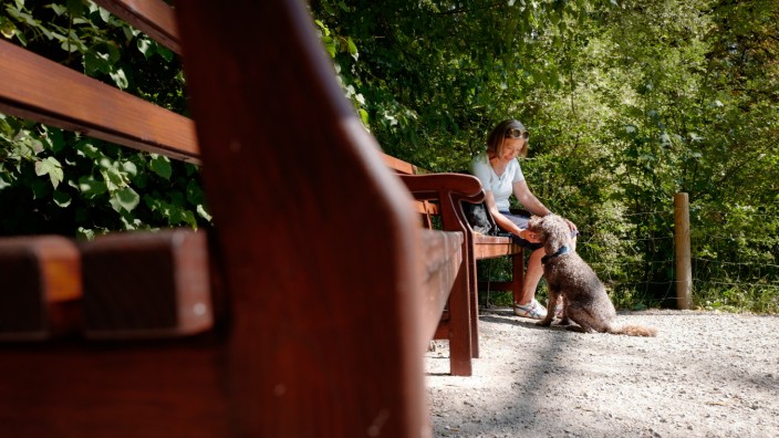 Typisch deutsch: Die sogenannte Maxruh oder Effnerruh mit ihren zwei Holzbänken ist eine Stelle im Englischen Garten in München, die bei Hundebesitzern beliebt ist.