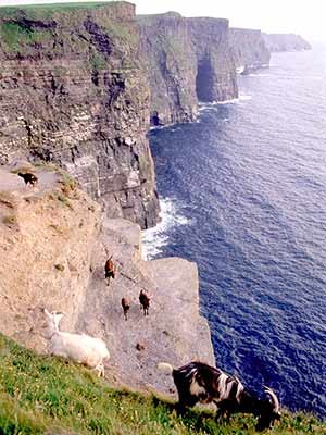 Cliffs of Moher, ddp