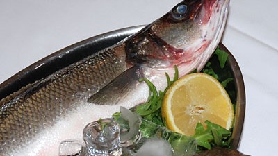 Fischrestaurant Schlachthofviertel "Italfisch": Wolfsbarsch und Steinbutt: Das Italfisch ist ein Spezialitätenrestaurant, in dem sich alles um Fisch dreht.