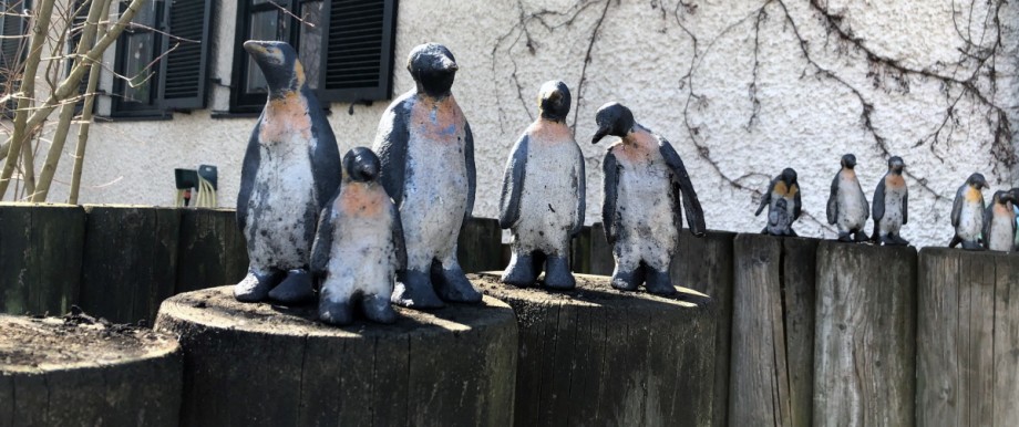 Am Wochenende: Maria Heller lässt Pinguine werben für den Klimaschutz.