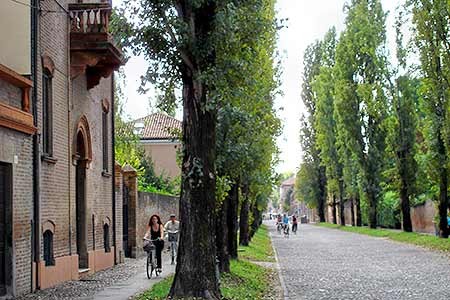 Farradfahren in Ferrara, Küspert