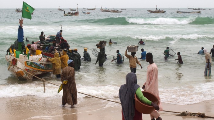 Menschenrechtsorganisation: Fischerboote werden in der mauretanischen Hauptstadt Nouakchott entladen. Mauretanien ist eines der Länder, in denen moderne Sklaverei mit am verbreitetsten ist.