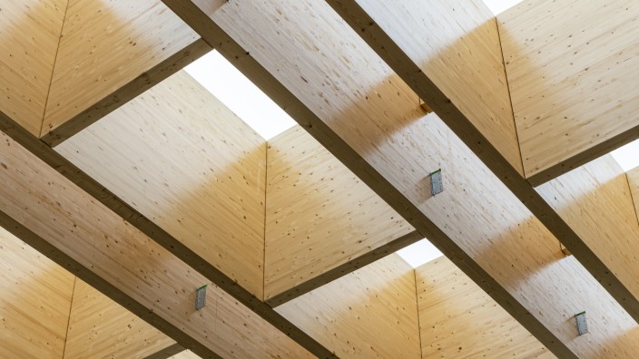 Erding: Die Deckenkonstruktion besteht aus 30 Holzträgern aus heimischem Fichtenholz. Jeder ist 2,5 Meter hoch und 38 Meter lang.