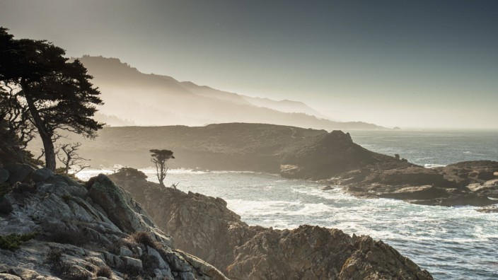 Nell Zinks Roman "Avalon": Jeder Ast jedes windschiefen Baumes gravitätisch arrangiert: Point Lobos in Kalifornien.