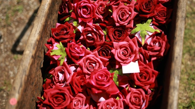 Fürstenfelder Gartentage: Auf den Gartentagen finden die Besucher alles, was das Herz begehrt: Von roten Rosen...