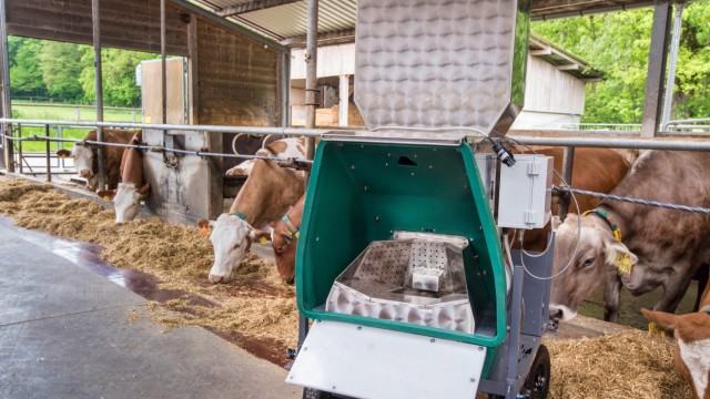 Viehzucht: Die Kühe werden mit Kraftfutter an die Green-Feed-Station gelockt. Anschließend wird ihre Atemlauft angesaugt und die darin enthaltene Methankonzentration mithilfe von Sensoren gemessen.