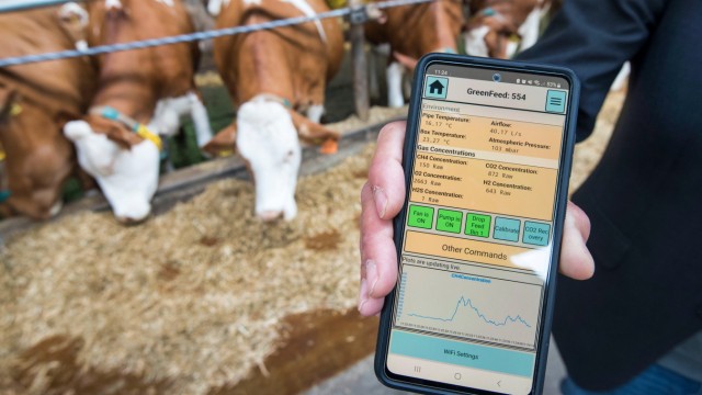 Viehzucht: Den Methanausstoß kann man sich auch auf dem Handy anzeigen lassen.