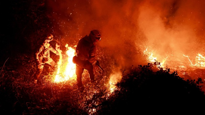Umwelt: Waldbrände in Nordspanien im März: Eine ungewöhnlich frühe Hitzewelle hat das örtliche Feuerrisiko erhöht.