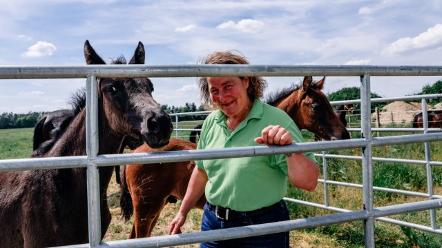 Gestüt in Mammendorf: Anita Schwarz kümmert sich nicht nur um Pferde, sie bringt Kindern und Jugendlichen auch das Reiten bei.