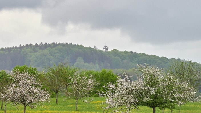 Ebersberg: Frühling rund um den Aussichtsturm. Bald kann man wieder das Rundum-Panorama genießen.
