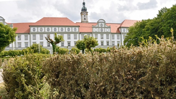 Schädlinge: Die Buchsbaumhecken im barocken Garten des Klosters Fürstenfeld sind vom Buchsbaumzünsler arg in Mitleidenschaft gezogen.