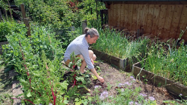 Tag der offenen Gartentür: Christine Rathert und ihr Mann kümmern sich mit viel Hingebung um ihren Naturgarten.