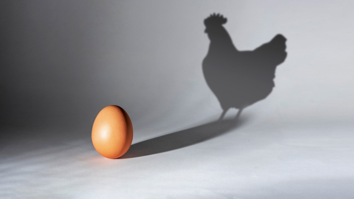 The Chicken and the Egg Problem: In the beginning there was neither chicken nor egg—knowledge
