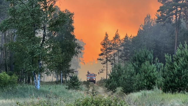 Waldbrände: Rauch und Flammen steigen in den Himmel aus einem Waldgebiet, durch das ein Löschfahrzeug der Feuerwehr fährt. Alte Munition macht die Löscharbeiten noch gefährlicher.