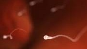 Spermien; iStockphotos