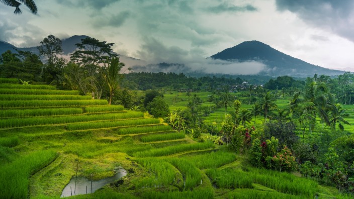 Tourismus: Wo Reisterrassen sind, müssen nicht unbedingt die Philippinen sein: Ein Blick über Sidemen auf Bali.