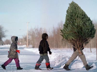 Christbäume, Weihnachten, Weihnachtsbäume, Kinder, Schnee, Foto: AP