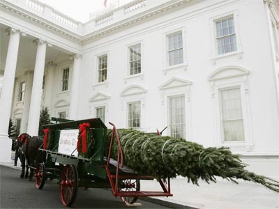 Christbaum, Weihnachten, Weihnachtsbaum, Weißes Haus, Washington D.C., USA, Kutsche, Foto: RTR