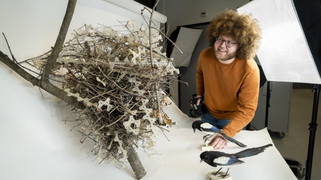 Tiere: Nestforscher Auke-Florian Hiemstra mit einem seiner Forschungsobjekte.