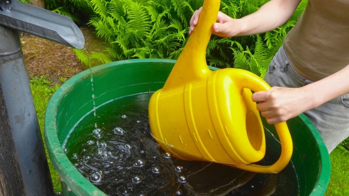 Lifehack zu Garten: Wie kann man Regenwasser am besten auffangen?
