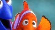 Verhaltensbiologie: Spricht - aber nicht wie im Film: Nemo