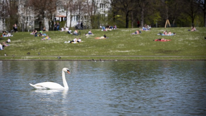 Sendling: Wasservögel fühlen sich in den beiden Seen im Westpark wohl - trotz trüben Wassers.