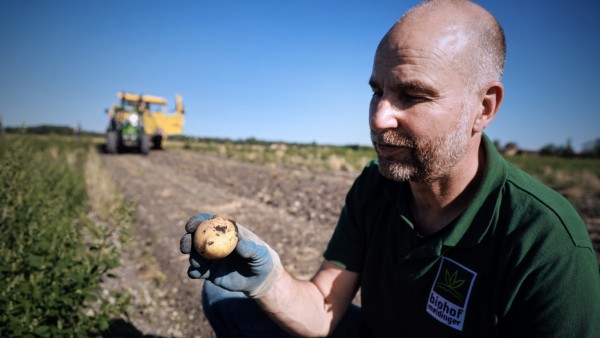 NEUFAHRN: *Reportage Kartoffelernte* Biohof Meidinger