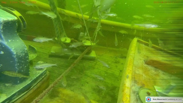 Historisches Segelboot: Unterwasseraufnahmen vor der Bergung 2020 zeigen einen Schwarm Fische, die das gesunkene Schiff erkunden.