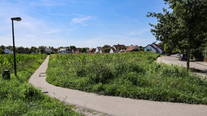 Hebertshausen: Auf dieser landwirtschaftlich genutzten Fläche plant die Gemeinde Hebertshausen den Bau von Wohnhäusern.