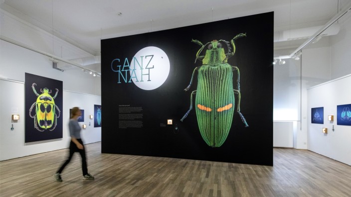 Freizeit: Unter dem Titel: "Ganz nah - Kleine Käfer ganz groß" werden großformatige Fotografien von Käfern gezeigt, die der Fotograf Thomas Büchsemann mit Hilfe eines speziellen Aufnahmeverfahrens gemacht hat.