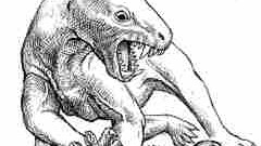 Dinosaurier: Gorgonopsiden im Kampf: Diese bis zu drei Meter langen Therapsiden (säuger-ähnliche Reptilien) waren vermutlich die größten Jäger des späten Erdaltertums.