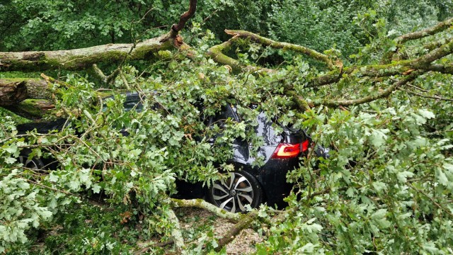 Unwetter über dem Landkreis Freising: Umgestürzte Bäume begruben abgestellte Autos unter sich.
