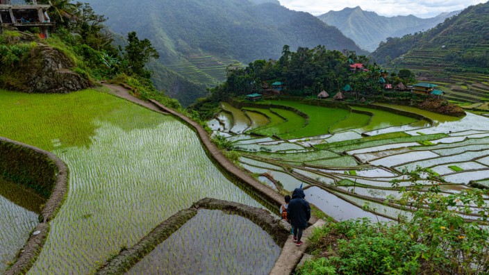 Einmal im Leben: Die Reisterrassen auf der der Insel Luzon sind Unesco-Weltkulturerbe.