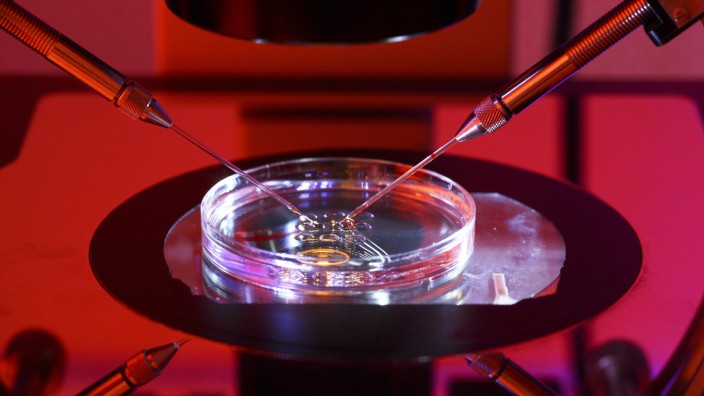 Biologie: Die künstliche Befruchtung einer Eizelle durch Sperma im Labor ist Alltag. Nun aber wollen Forscher einen Embryo ganz ohne dies hergestellt haben.