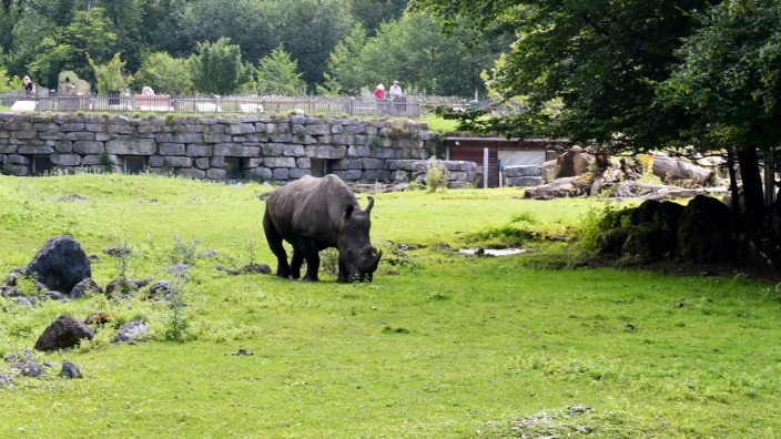 Salzburg: Die Nashornanlage im Zoo Salzburg.