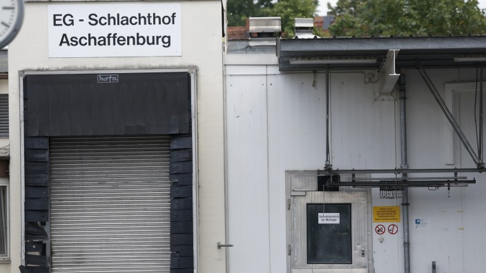 Aschaffenburg: Der Schlachthof in Aschaffenburg war im Juli zwangsweise wegen möglicher Vergehen gegen das Tierschutzgesetz geschlossen worden.